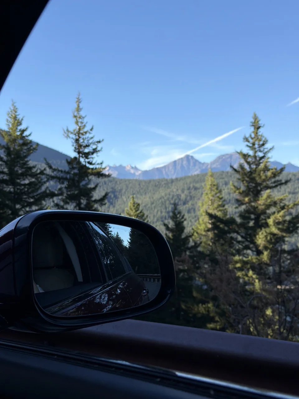 Pine trees and mountains seen from a car window