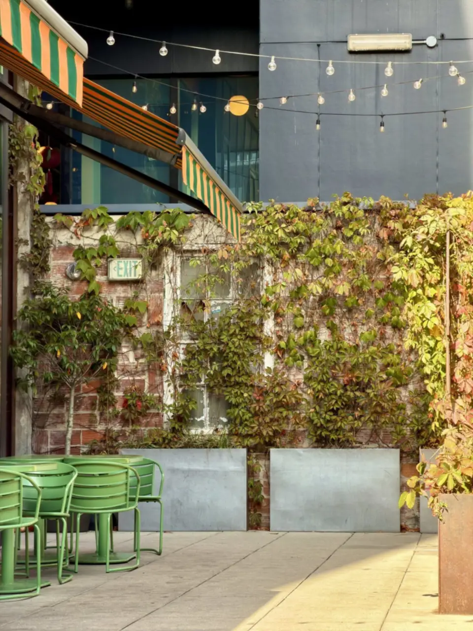 An outdoor patio set for dinner under string lights